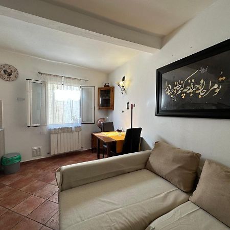 Pitti Apartment Florenţa Exterior foto